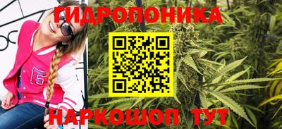 индика Мариинск