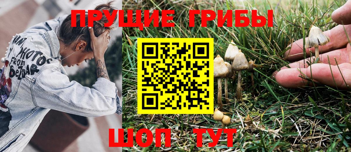 Псилоцибиновые грибы Magic Shrooms Советск
