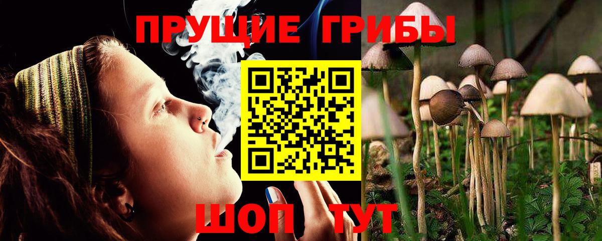 Псилоцибиновые грибы прущие грибы  Вход с VPN  Советск 